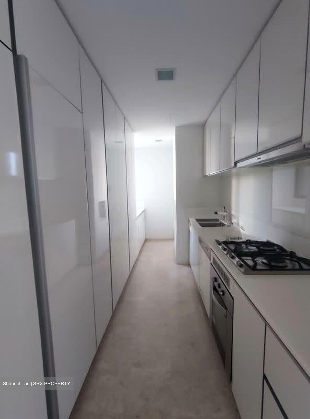 The Trizon (D10), Condominium #548850391